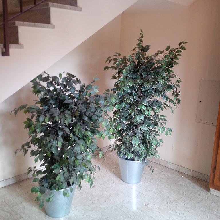 דירות סקנדיצ'י Casa Venturi מראה חיצוני תמונה